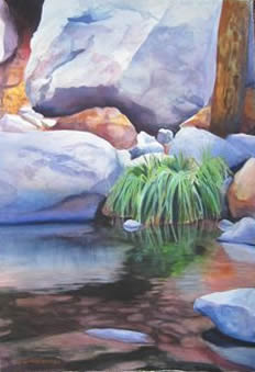 Sedona Stream